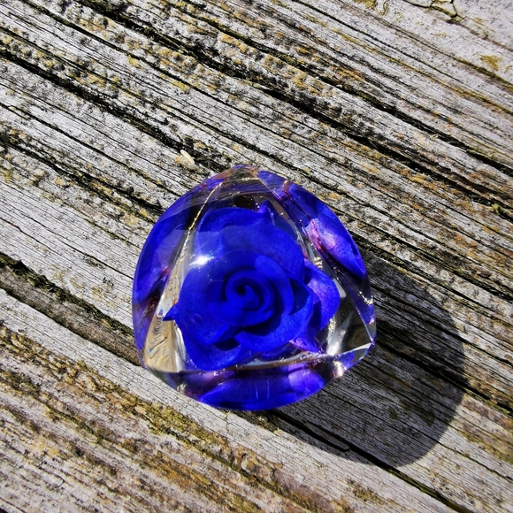 Vintage Triangular Clear Acrylic Scarf Clip with Blue Rose - Picture 3 of 7